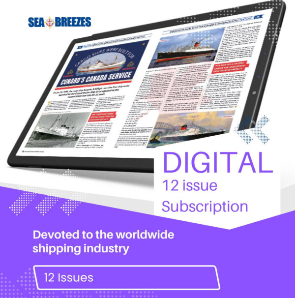 12 Issue Digital Subscription Large