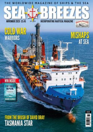 Printed Back Issue November 2025